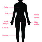Zones du corps chez la femme