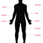 Zones du corps chez l'homme